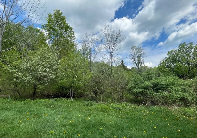 Homes for sale in Jefferson, NY | 174 Peraglie Rd, Jefferson, NY 12093 | MLS# R1686547