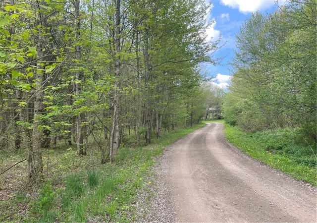 Homes for sale in Jefferson, NY | 174 Peraglie Rd, Jefferson, NY 12093 | MLS# R1686547