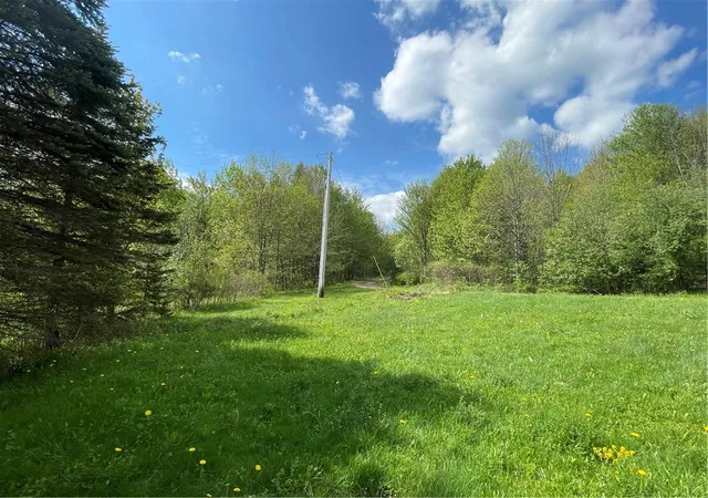 Homes for sale in Jefferson, NY | 174 Peraglie Rd, Jefferson, NY 12093 | MLS# R1686547