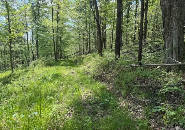 Photo 1 of Sale Pending at Dye Rd, South Dayton, NY 14138 | MLS# S1686930 | Listing updated on 2026-06-05