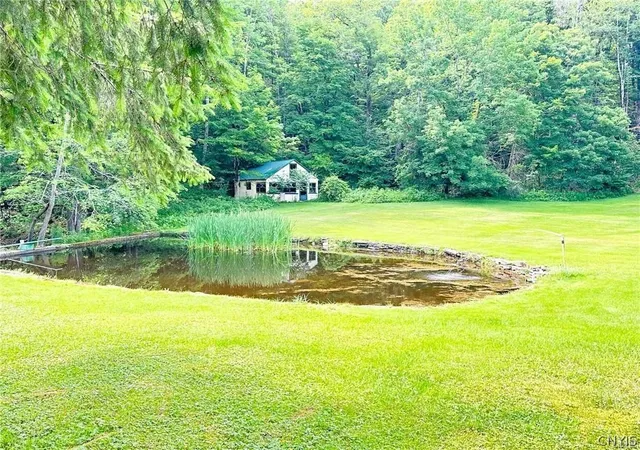 4th image of 185 Dairy Hill Rd, Little Falls, NY 13365 | MLS# S1686865