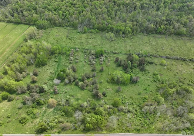1st image of Dye Rd, South Dayton, NY 14138 | MLS# S1686970