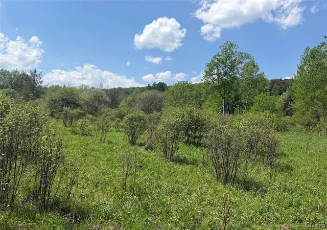Photo 5 of Sale Pending at Dye Rd, South Dayton, NY 14138 | MLS# S1686970 | Listing updated on 2026-08-04