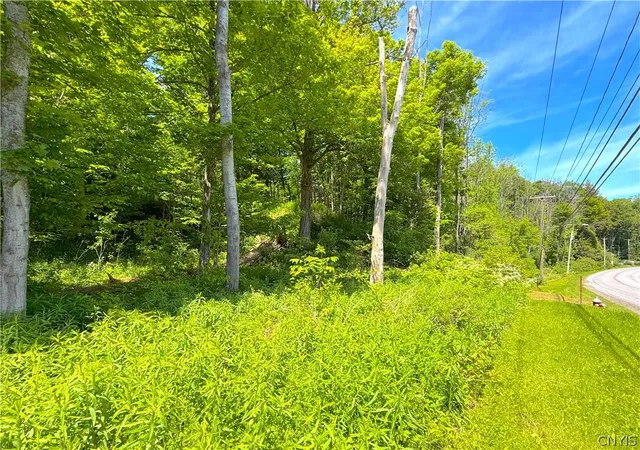 2nd image of 0 Main St, Clayville, NY 13322 | MLS# S1686168