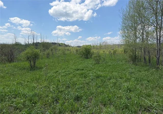 1st image of Buttermilk Rd, South Dayton, NY 14138 | MLS# S1687091
