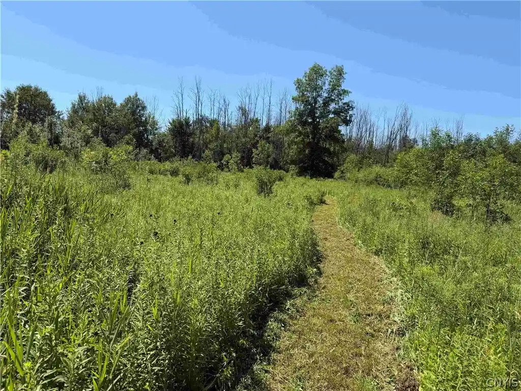 Photo 1 of Sale Pending at Buttermilk Rd, South Dayton, NY 14138 | MLS# S1687091 | Listing updated on 2026-08-11