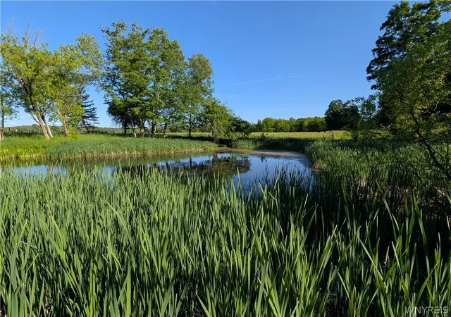 4th image of 12351 Williston Rd, Marilla, NY 14004 | MLS# B1686612