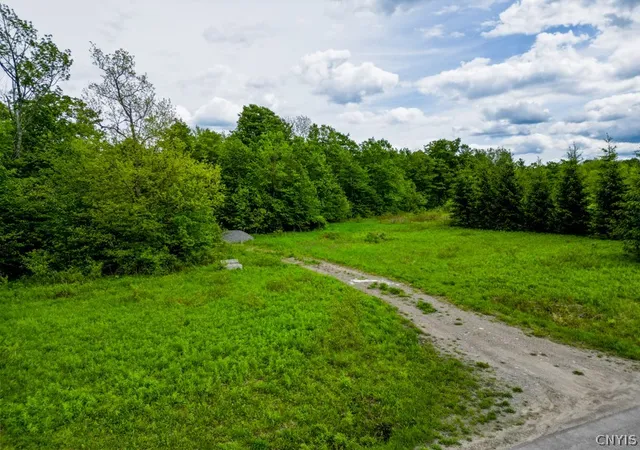 Homes for sale in Schuyler, NY | 1180 Hawthorne Rd, Schuyler, NY 13340 | MLS# S1687190