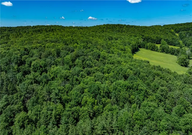 1st image of Lower Ravine Rd, Norwich, NY 13815 | MLS# R1687360