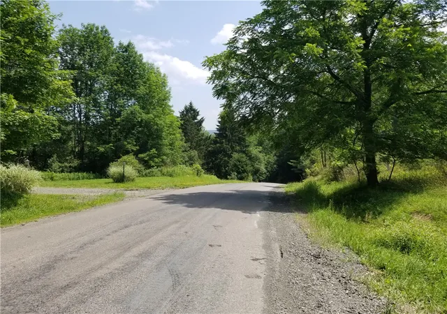 23rd image of Lower Ravine Rd, Norwich, NY 13815 | MLS# R1687360