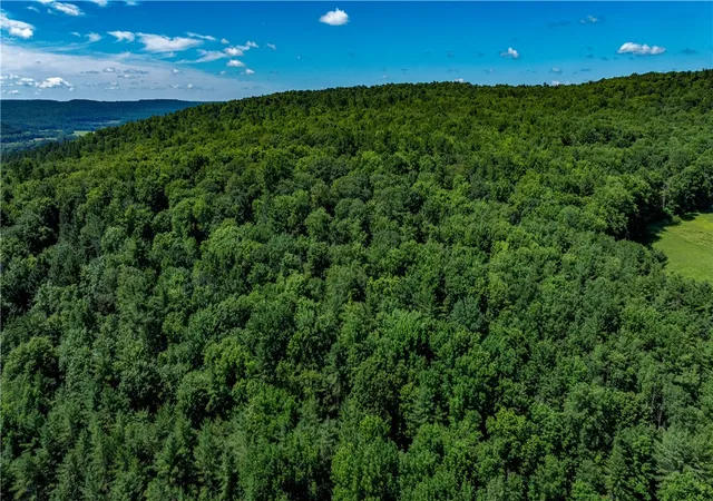 2nd image of Lower Ravine Rd, Norwich, NY 13815 | MLS# R1687360