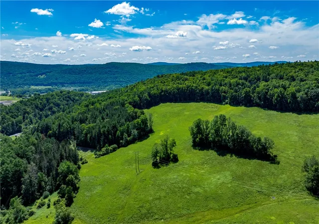 3rd image of Lower Ravine Rd, Norwich, NY 13815 | MLS# R1687360