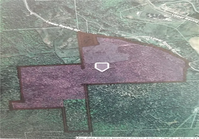 4th image of Lower Ravine Rd, Norwich, NY 13815 | MLS# R1687360