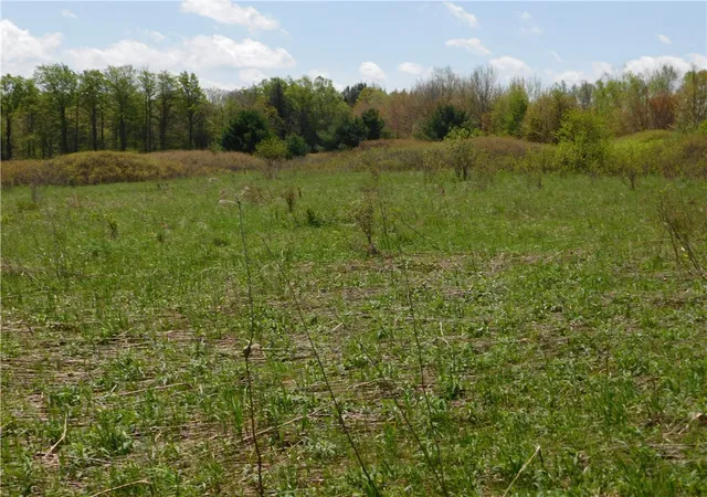 3rd image of 260 Boughton Road, Worcester, NY 12197 | MLS# R1683264