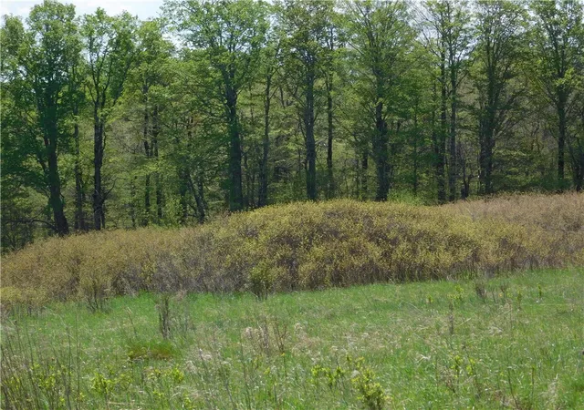 4th image of 260 Boughton Road, Worcester, NY 12197 | MLS# R1683264