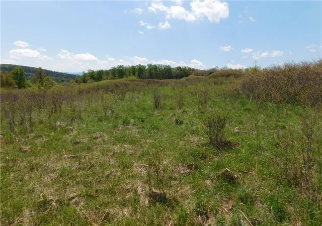 5th image of 260 Boughton Road, Worcester, NY 12197 | MLS# R1683264