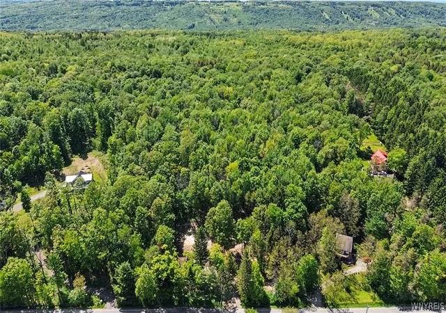 48th image of 8176 Irish Rd, Colden, NY 14033 | MLS# B1686658