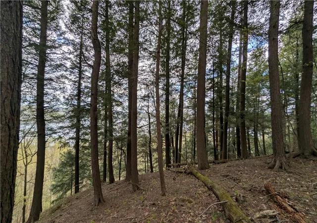 34th image of Lot 1232 Cr 31, Middlefield, NY 13326 | MLS# R1678180