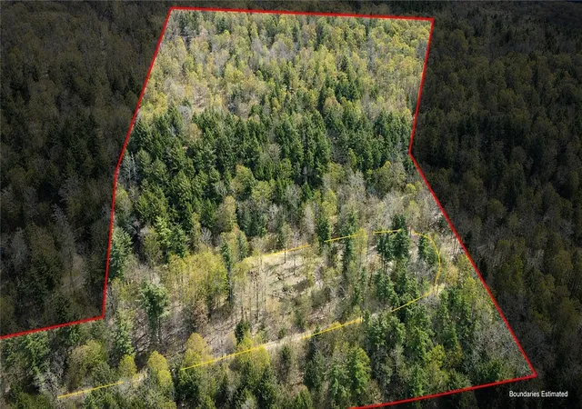 4th image of Lot 1232 Cr-31, Middlefield, NY 13326 | MLS# R1678180