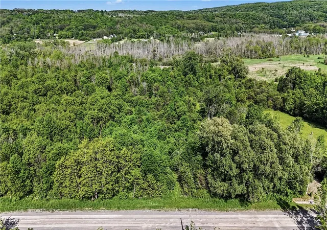 Homes for sale in Bristol, NY | Case Rd, Bristol, NY 14424 | MLS# R1687590