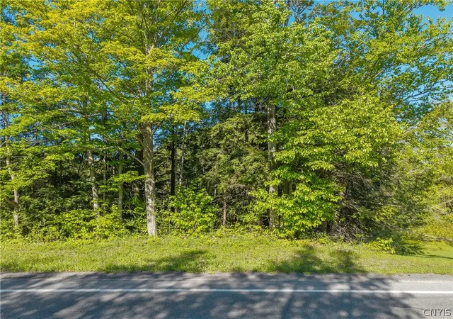Photo 4 of Land for sale at Nelson Rd, Cazenovia, NY 13035 | MLS# S1687047 | Listing updated on 2026-06-04
