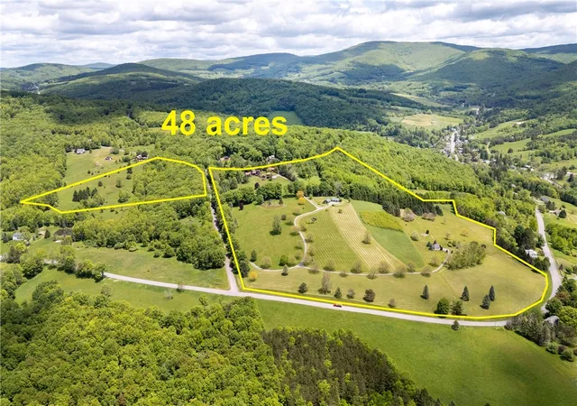 Homes for sale in Andes, NY | 94 Overlook Dr, Andes, NY 13731 | MLS# R1674523
