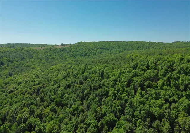 Homes for sale in Bath, NY | 7135 Sonora Rd, Bath, NY 14879 | MLS# R1687487