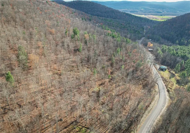 Photo 2 of Land for sale at 1188 Braybrook Rd, Lowman, NY 14861 | MLS# R1687749 | Listing updated on 2026-06-25