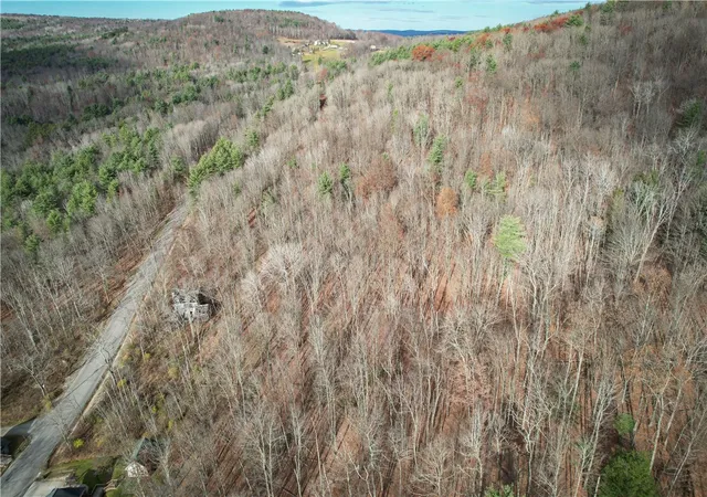 Photo 3 of Land for sale at 1188 Braybrook Rd, Lowman, NY 14861 | MLS# R1687749 | Listing updated on 2026-06-25