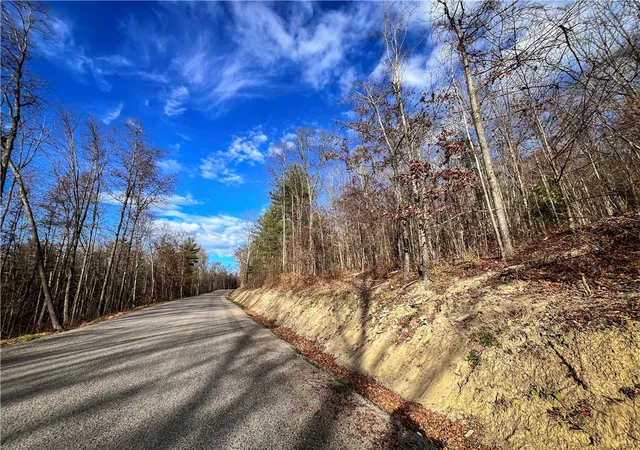 Photo 4 of Land for sale at 1188 Braybrook Rd, Lowman, NY 14861 | MLS# R1687749 | Listing updated on 2026-06-25