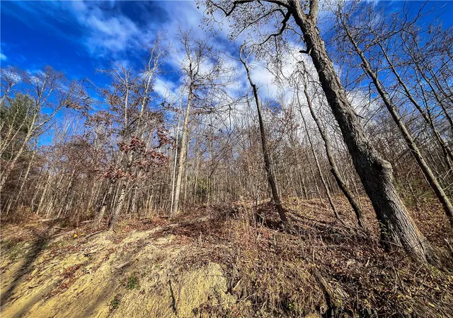Photo 5 of Land for sale at 1188 Braybrook Rd, Lowman, NY 14861 | MLS# R1687749 | Listing updated on 2026-06-25