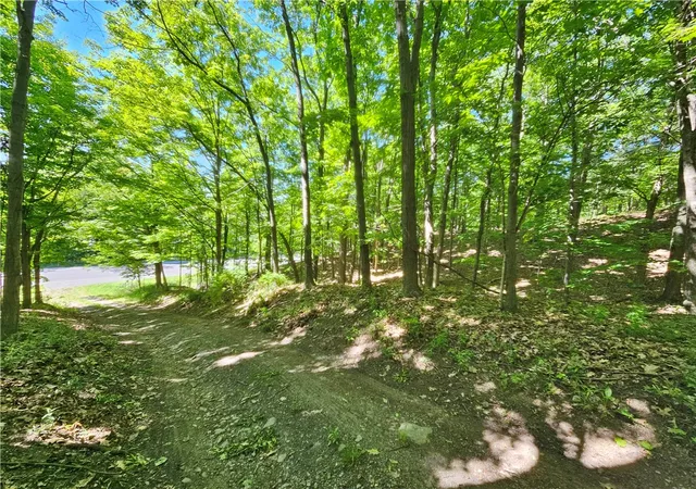 Homes for sale in Milo, NY | 615 East Lake Rd   Rt 54 Rd, Milo, NY 14527 | MLS# R1687519