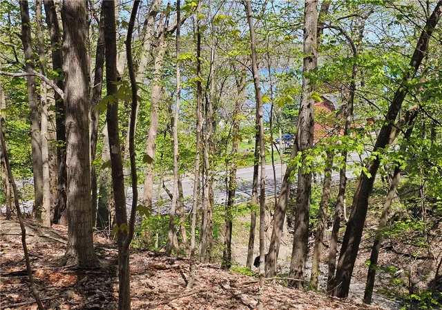 Homes for sale in Milo, NY | 615 East Lake Rd - Rt 54 Rd, Milo, NY 14527 | MLS# R1687519