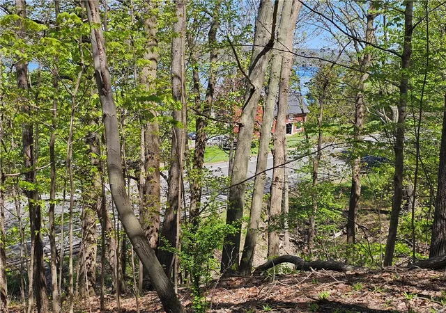 Homes for sale in Milo, NY | 615 East Lake Rd - Rt 54 Rd, Milo, NY 14527 | MLS# R1687519