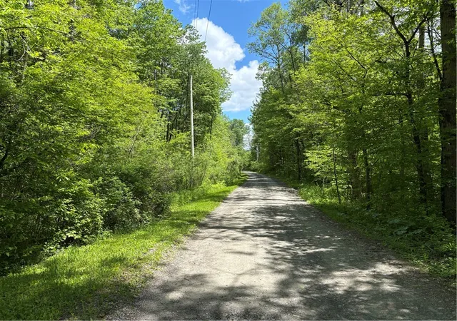 32nd image of Lake Lorraine Ln, Preston, NY 13815 | MLS# R1687033