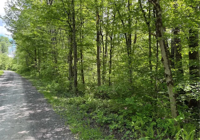 3rd image of Lake Lorraine Ln, Preston, NY 13815 | MLS# R1687033