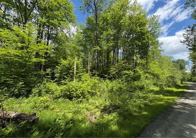 4th image of Lake Lorraine Ln, Preston, NY 13815 | MLS# R1687033