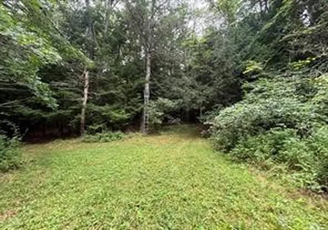 13th image of 10053 Browntown Rd, Lindley, NY 14858 | MLS# R1687754