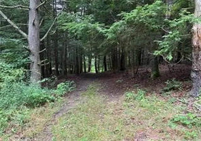 2nd image of 10053 Browntown Rd, Lindley, NY 14858 | MLS# R1687754