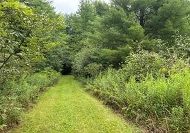3rd image of 10053 Browntown Rd, Lindley, NY 14858 | MLS# R1687754