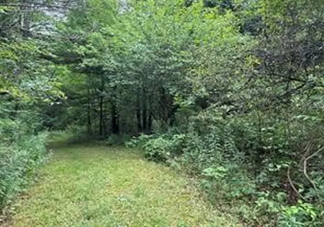 4th image of 10053 Browntown Rd, Lindley, NY 14858 | MLS# R1687754