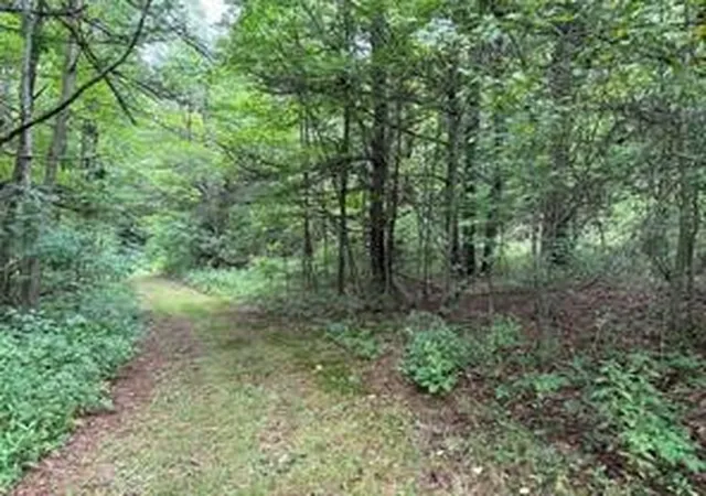 5th image of 10053 Browntown Rd, Lindley, NY 14858 | MLS# R1687754