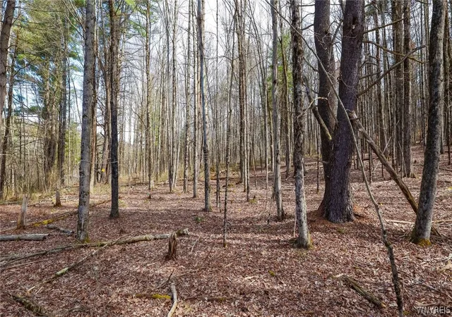 4th image of 00 Schlafer Rd, Guilford, NY 13733 | MLS# B1687642