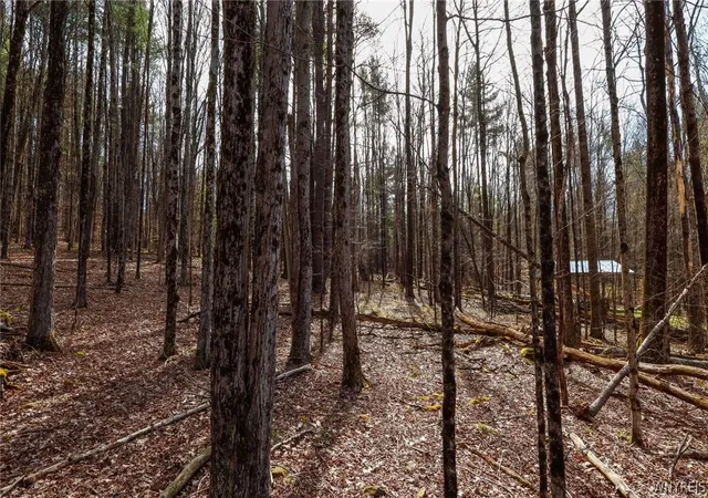 6th image of 00 Schlafer Rd, Guilford, NY 13733 | MLS# B1687642