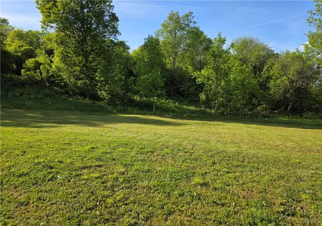 Homes for sale in Herkimer, NY | 4123 State Rt 28, Herkimer, NY 13350 | MLS# S1686699