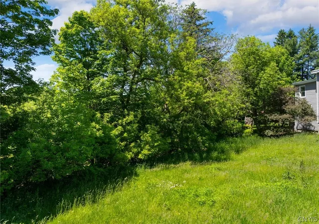 Photo 3 of Land for sale at 107 Berrill Ave, Waterville, NY 13480 | MLS# S1685180 | Listing updated on 2026-06-05