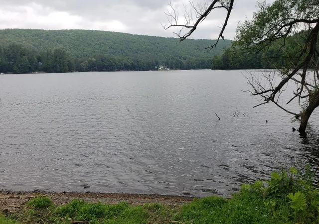 10th image of 0 State Hwy 28, Oneonta, NY 13820 | MLS# R1687407