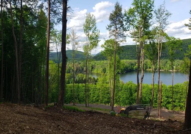 3rd image of 0 State Hwy 28, Oneonta, NY 13820 | MLS# R1687407