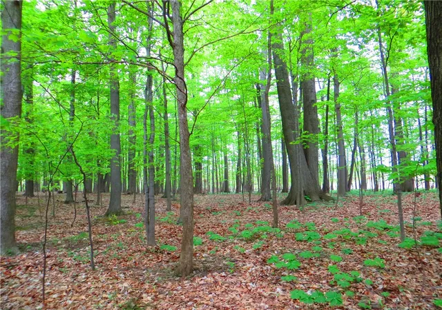 33rd image of 18 20 Peer St, Mendon, NY 14472 | MLS# R1684694