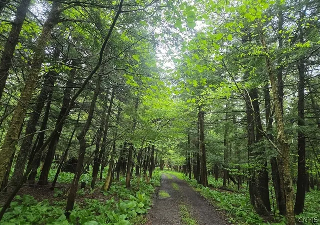 Photo 2 of Land for sale at Hermitage Rd, Warsaw, NY 14569 | MLS# S1688311 | Listing updated on 2026-07-13